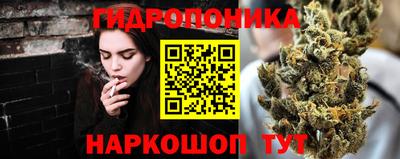 твердый Новодвинск