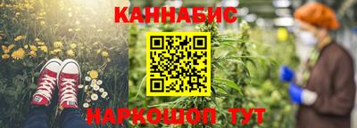 стафф Новокубанск