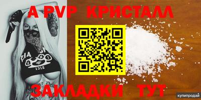 стафф Новокубанск