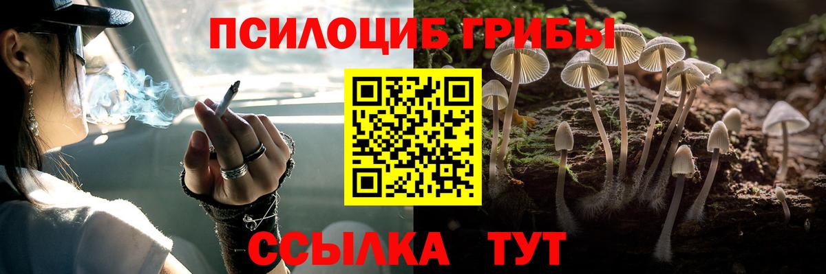 Соль-Илецк  Псилоцибиновые грибы мухоморы  Вход с VPN 